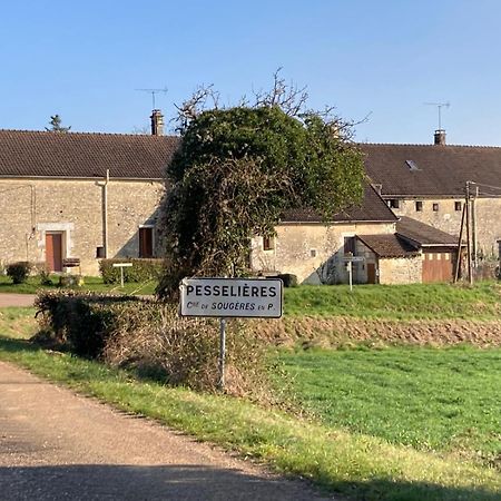Willa Longere Campagne 10 Pers. Proche Guedelon Sougeres-en-Puisaye Zewnętrze zdjęcie